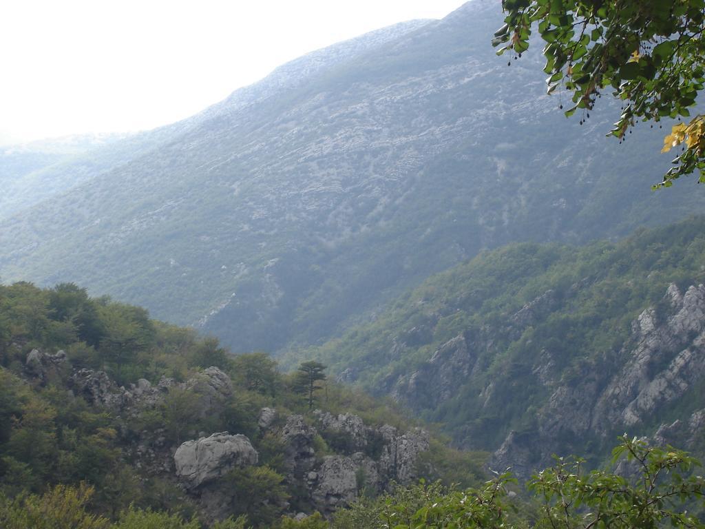 Holiday Home Paklenica Starigrad Paklenica Room photo