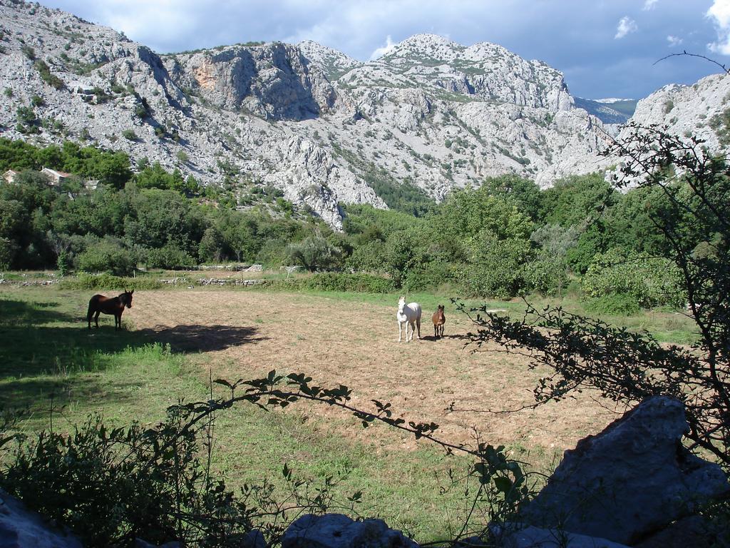 Holiday Home Paklenica Starigrad Paklenica Room photo