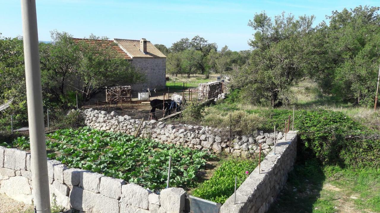Holiday Home Paklenica Starigrad Paklenica Exterior photo