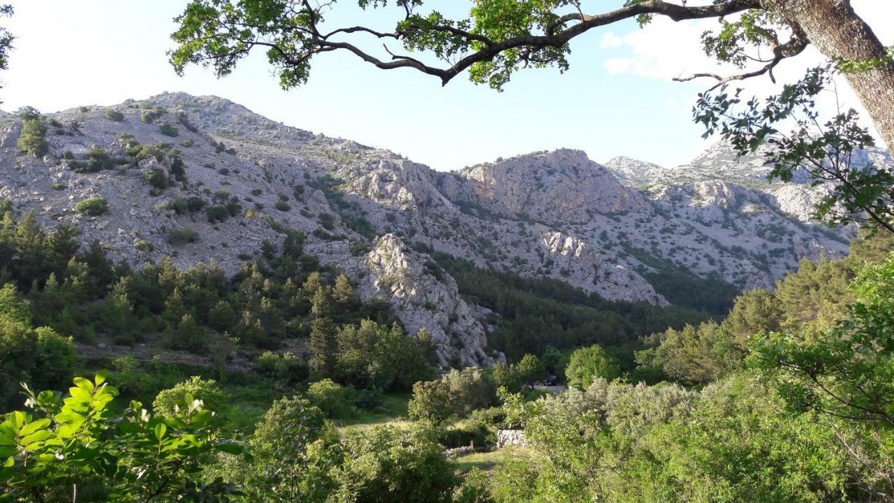 Holiday Home Paklenica Starigrad Paklenica Exterior photo